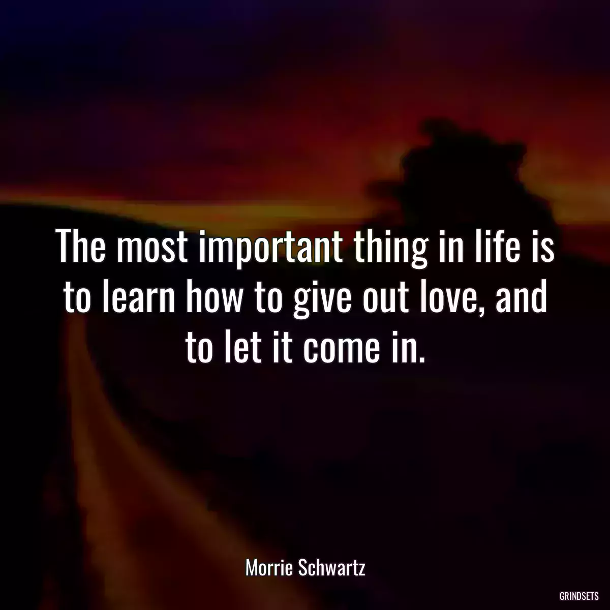 The most important thing in life is to learn how to give out love, and to let it come in.