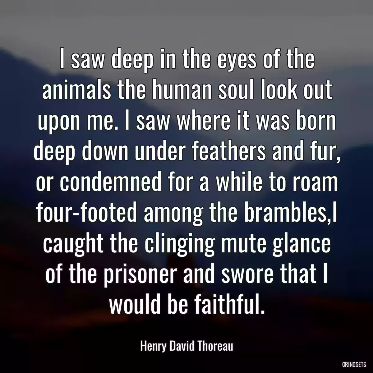 I saw deep in the eyes of the animals the human soul look out upon me. I saw where it was born deep down under feathers and fur, or condemned for a while to roam four-footed among the brambles,I caught the clinging mute glance of the prisoner and swore that I would be faithful.