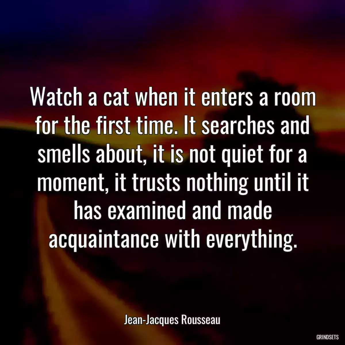 Watch a cat when it enters a room for the first time. It searches and smells about, it is not quiet for a moment, it trusts nothing until it has examined and made acquaintance with everything.