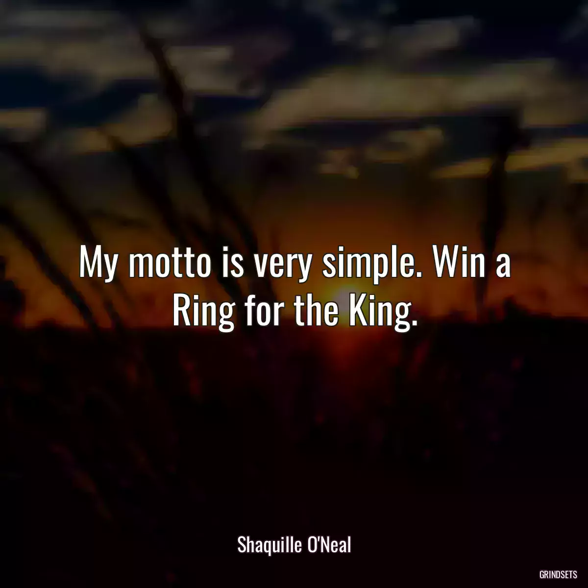 My motto is very simple. Win a Ring for the King.