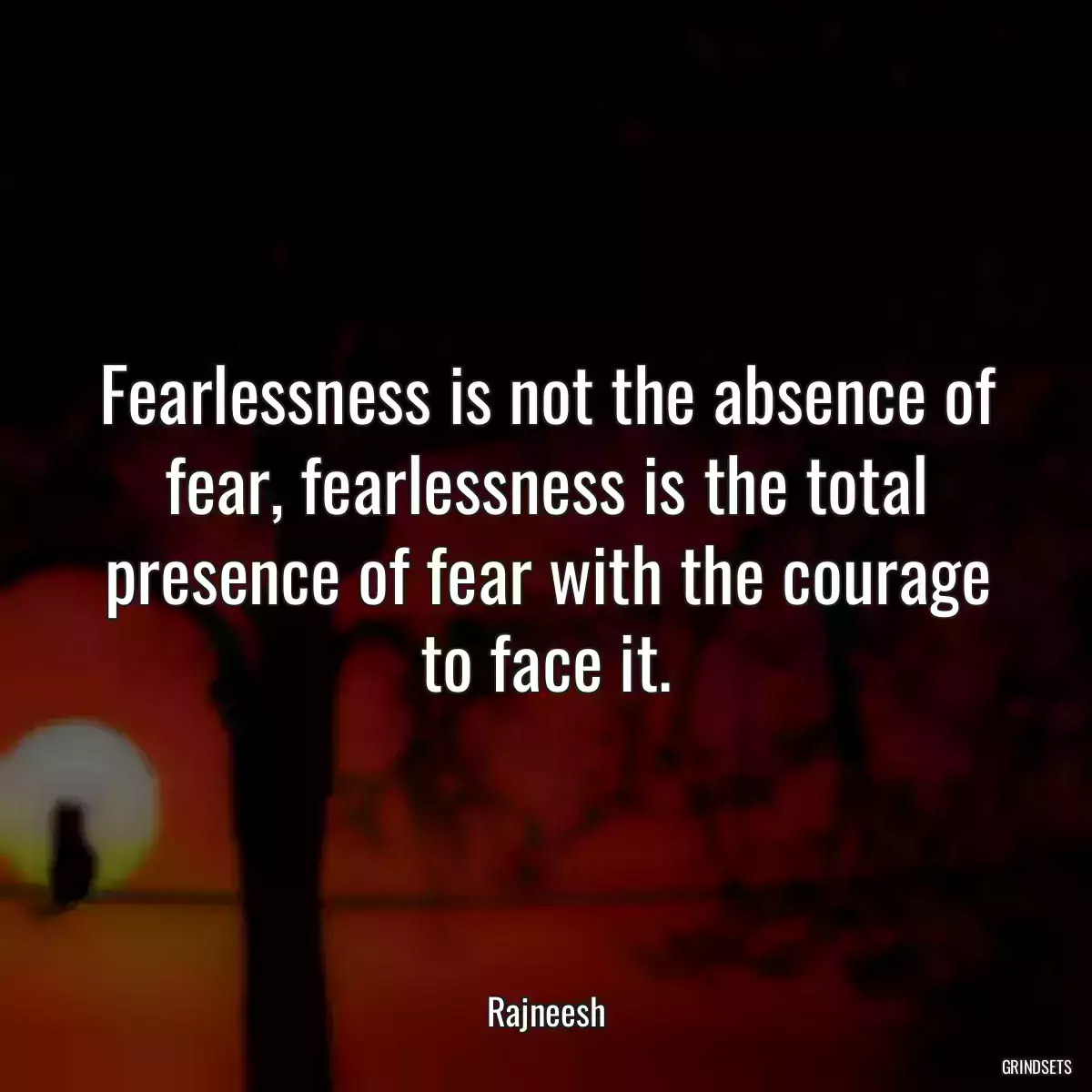 Fearlessness is not the absence of fear, fearlessness is the total presence of fear with the courage to face it.