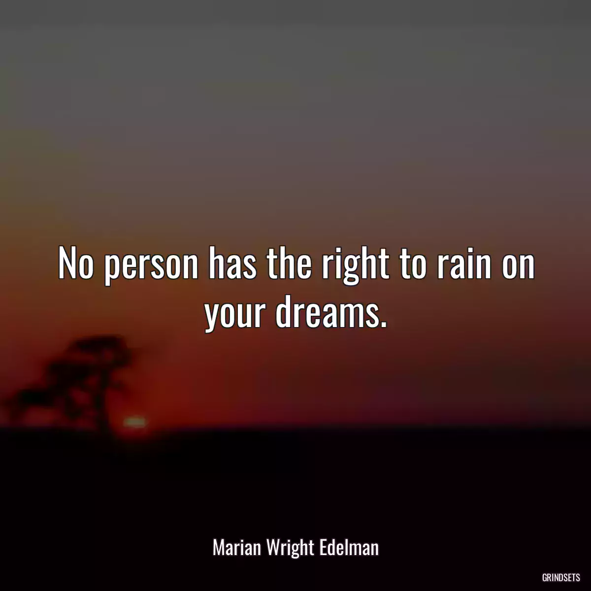 No person has the right to rain on your dreams.