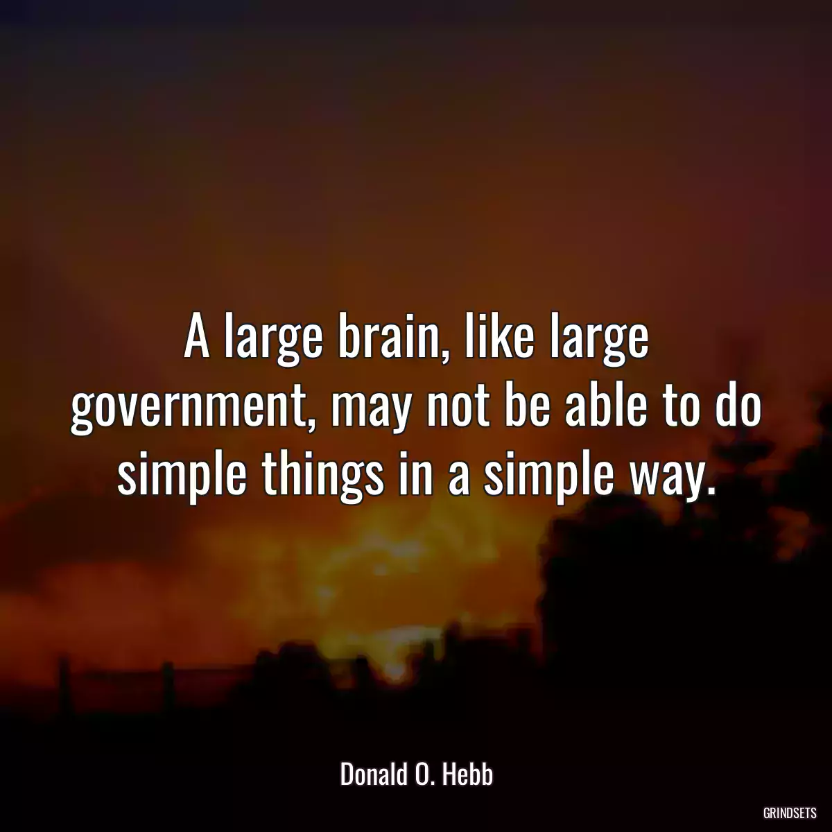 A large brain, like large government, may not be able to do simple things in a simple way.