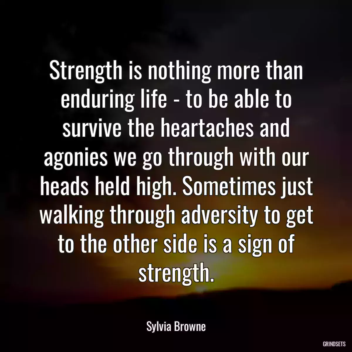 Strength is nothing more than enduring life - to be able to survive the heartaches and agonies we go through with our heads held high. Sometimes just walking through adversity to get to the other side is a sign of strength.