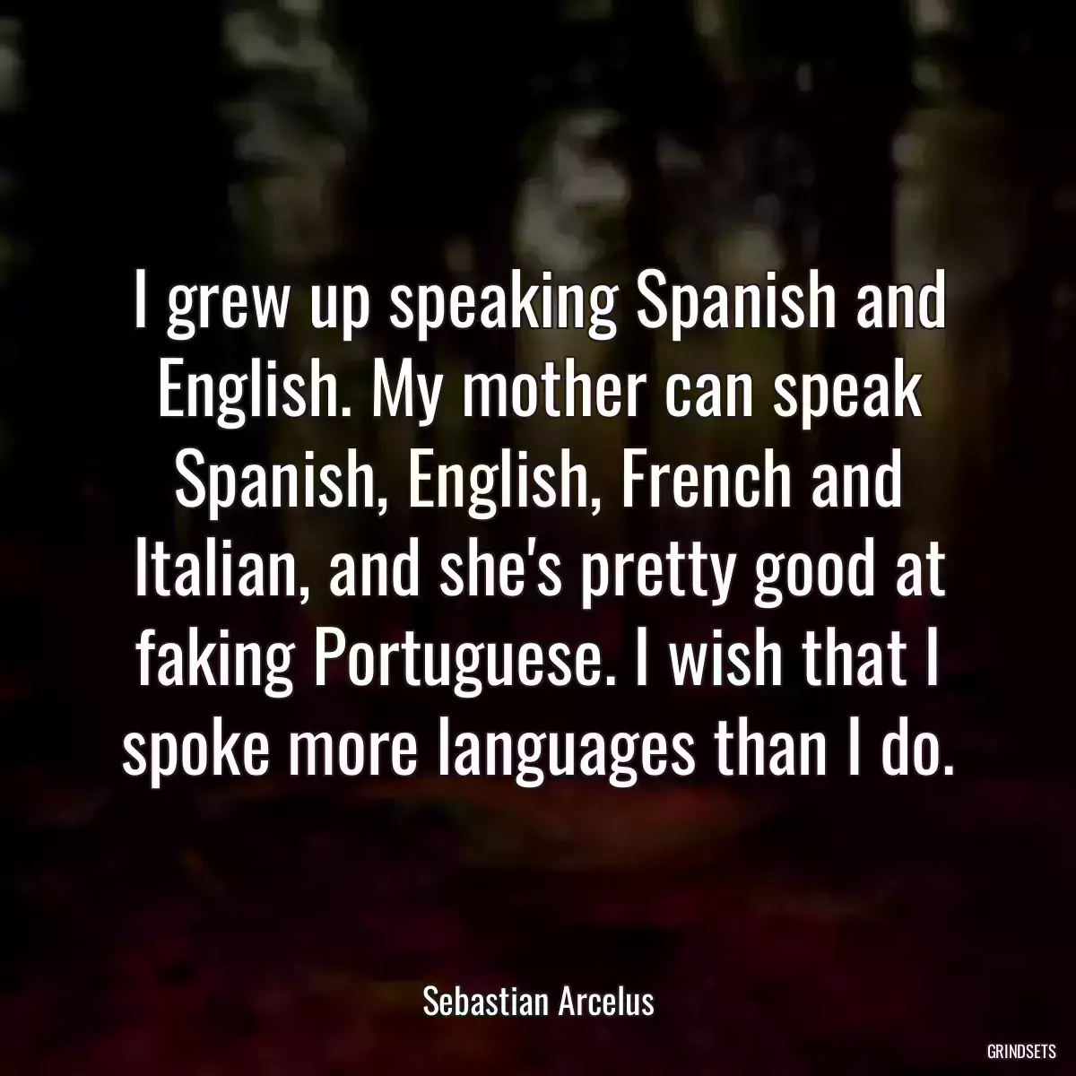 I grew up speaking Spanish and English. My mother can speak Spanish, English, French and Italian, and she\'s pretty good at faking Portuguese. I wish that I spoke more languages than I do.