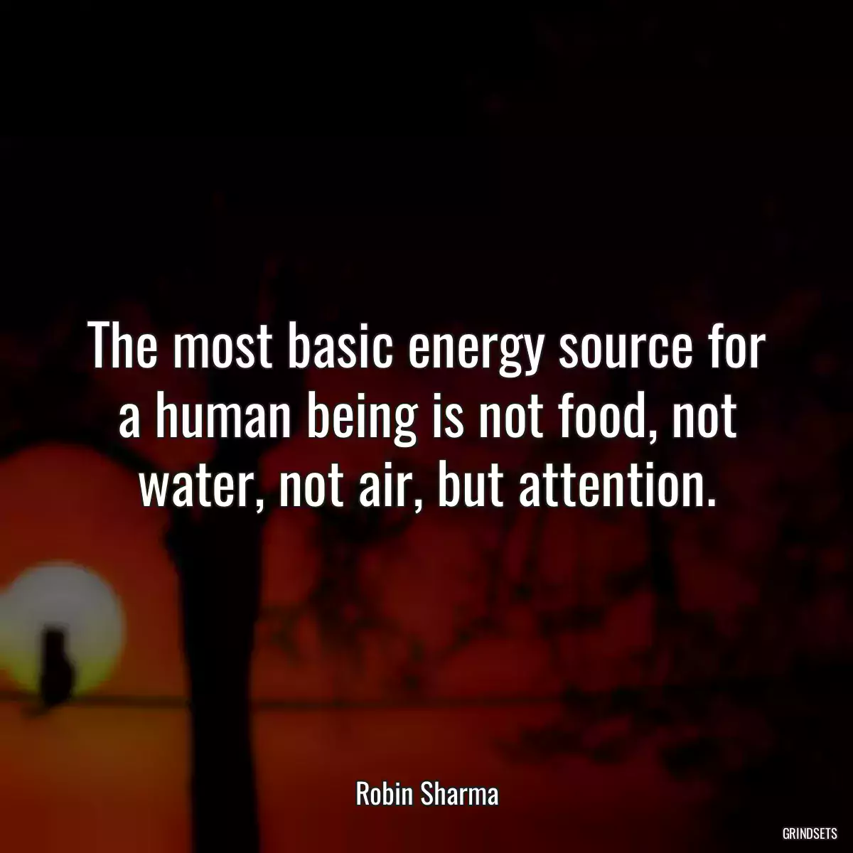 The most basic energy source for a human being is not food, not water, not air, but attention.