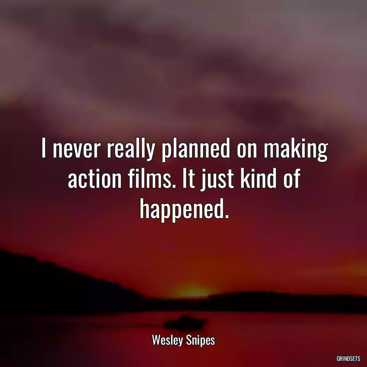 I never really planned on making action films. It just kind of happened.