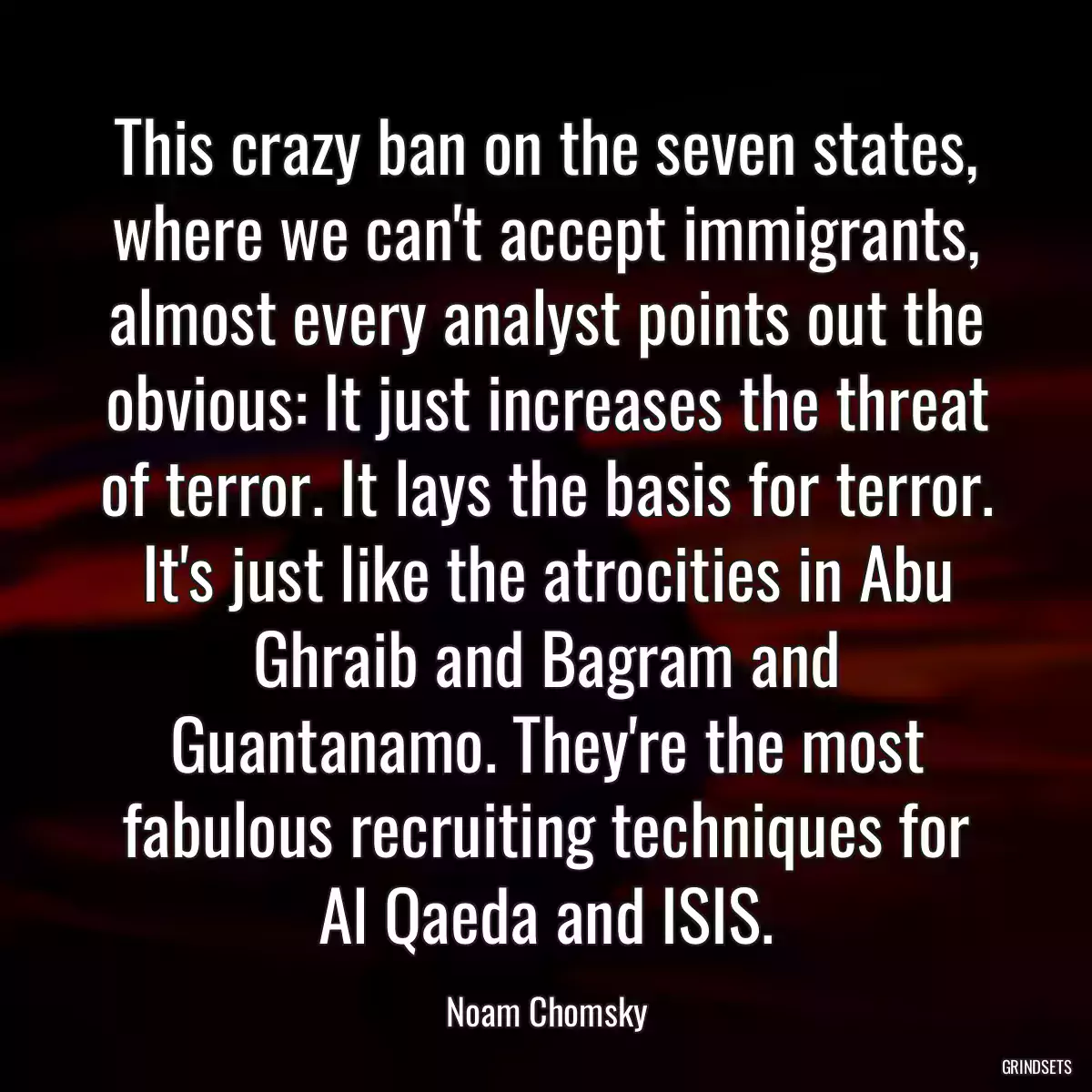 This crazy ban on the seven states, where we can\'t accept immigrants, almost every analyst points out the obvious: It just increases the threat of terror. It lays the basis for terror. It\'s just like the atrocities in Abu Ghraib and Bagram and Guantanamo. They\'re the most fabulous recruiting techniques for Al Qaeda and ISIS.