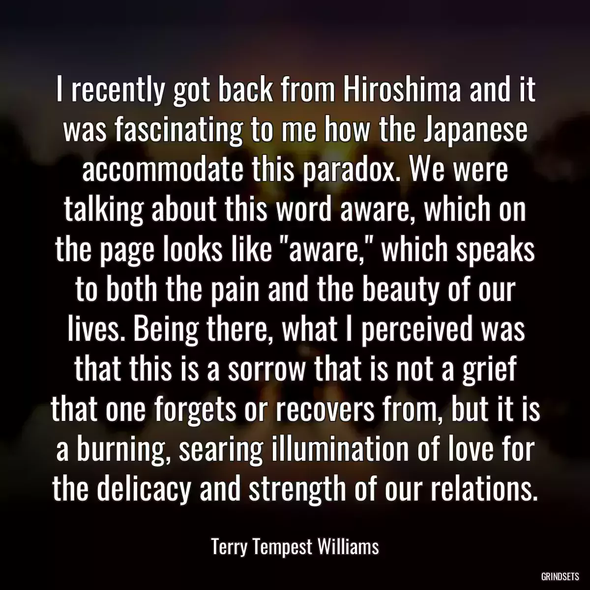 I recently got back from Hiroshima and it was fascinating to me how the Japanese accommodate this paradox. We were talking about this word aware, which on the page looks like \