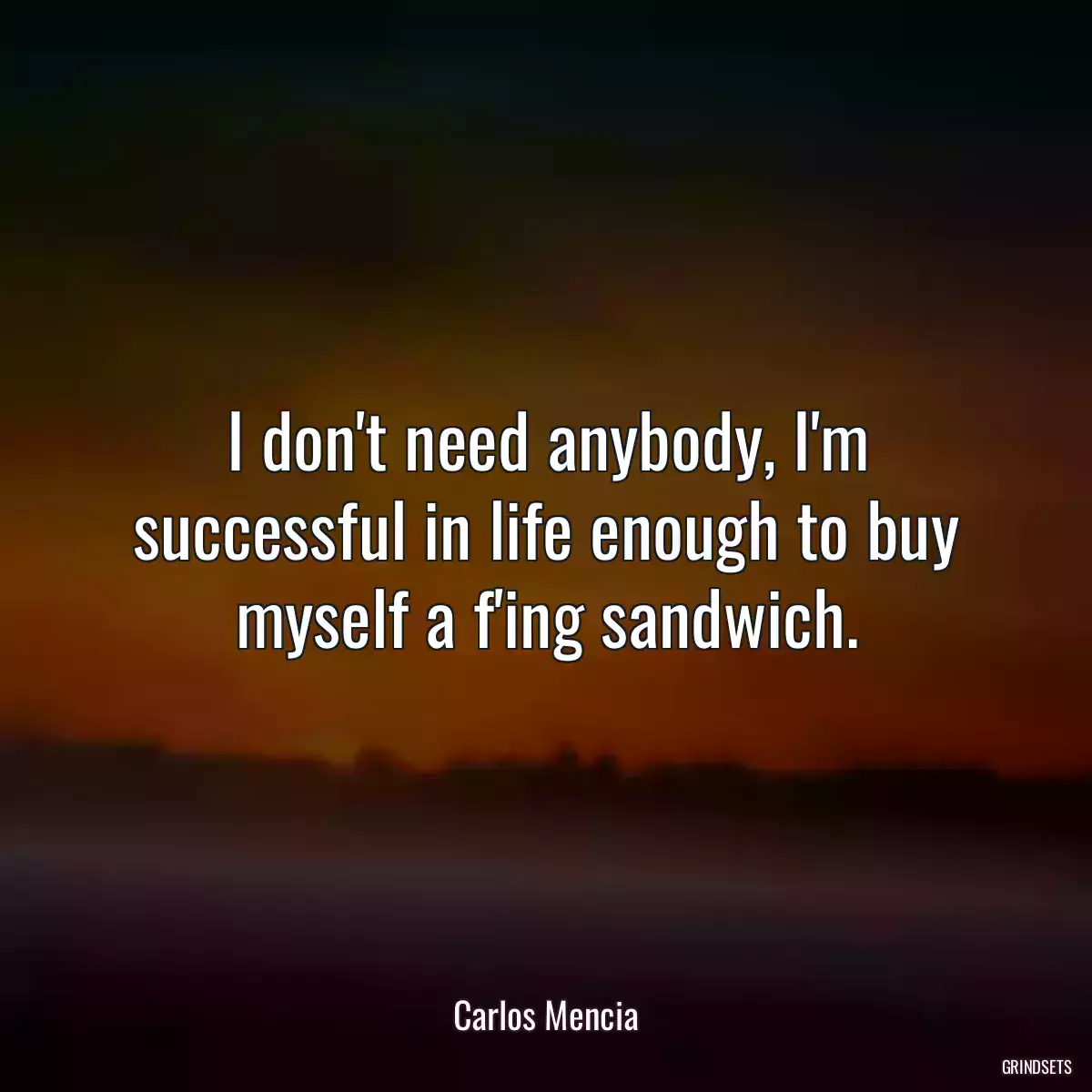 I don\'t need anybody, I\'m successful in life enough to buy myself a f\'ing sandwich.