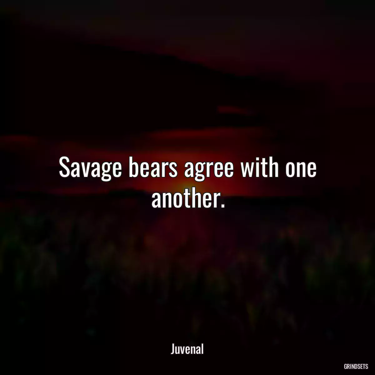 Savage bears agree with one another.