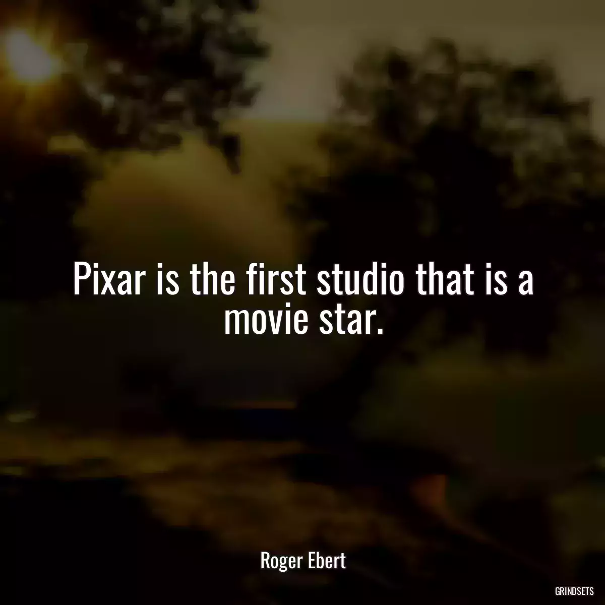 Pixar is the first studio that is a movie star.