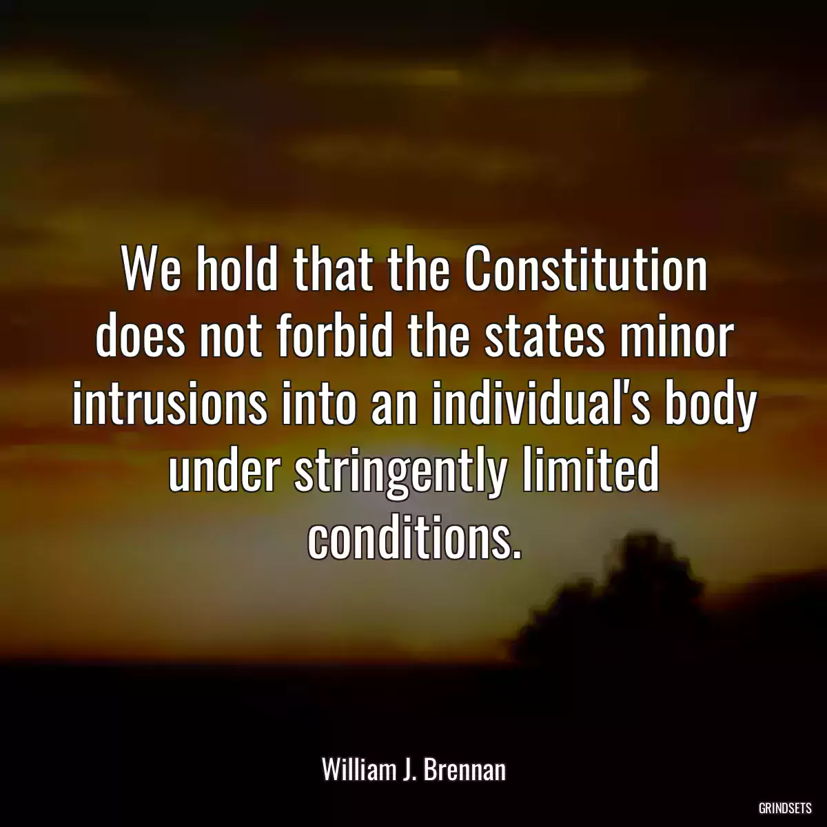 We hold that the Constitution does not forbid the states minor intrusions into an individual\'s body under stringently limited conditions.