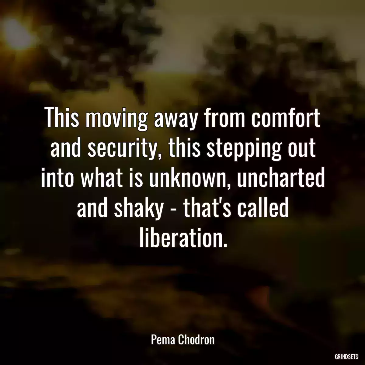 This moving away from comfort and security, this stepping out into what is unknown, uncharted and shaky - that\'s called liberation.