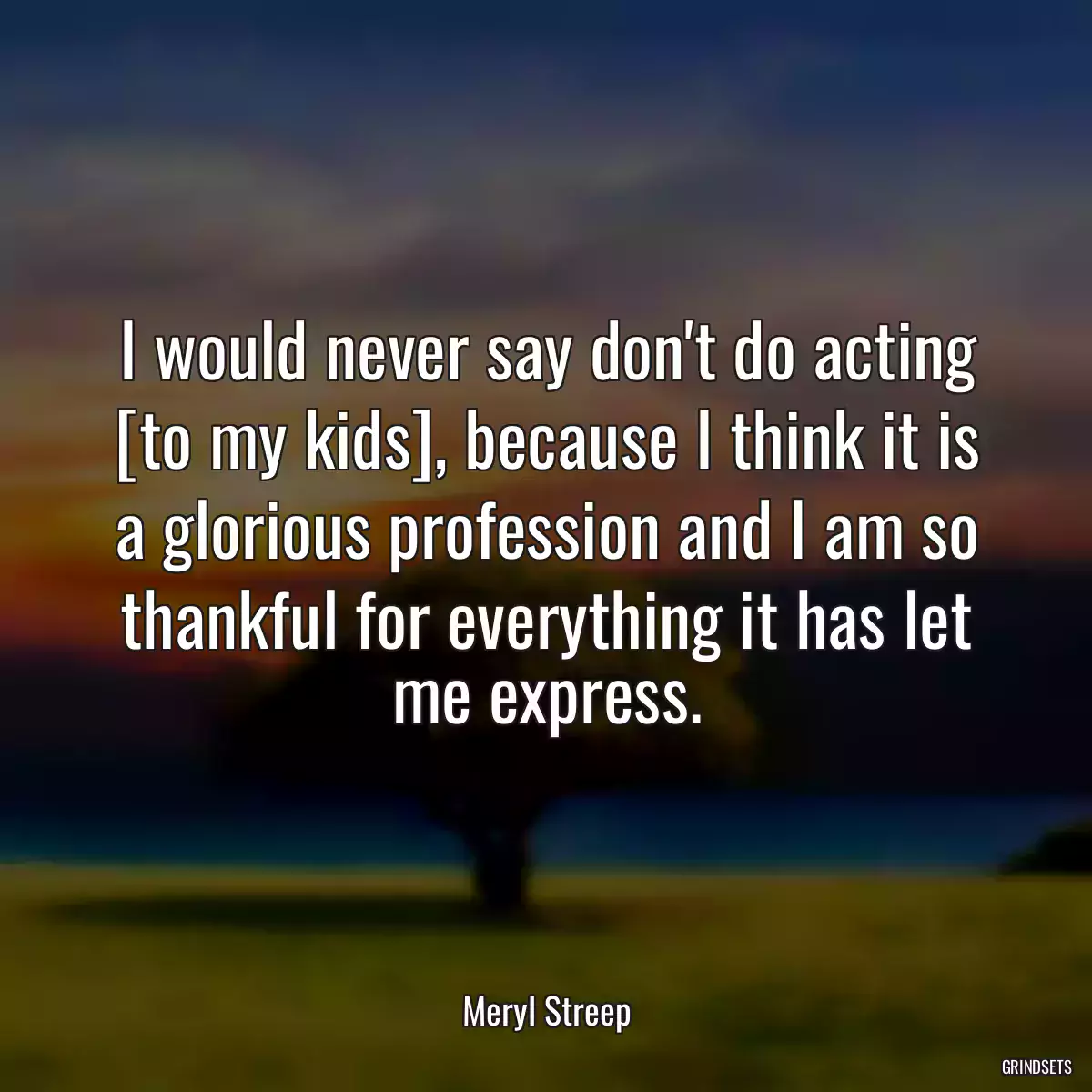 I would never say don\'t do acting [to my kids], because I think it is a glorious profession and I am so thankful for everything it has let me express.