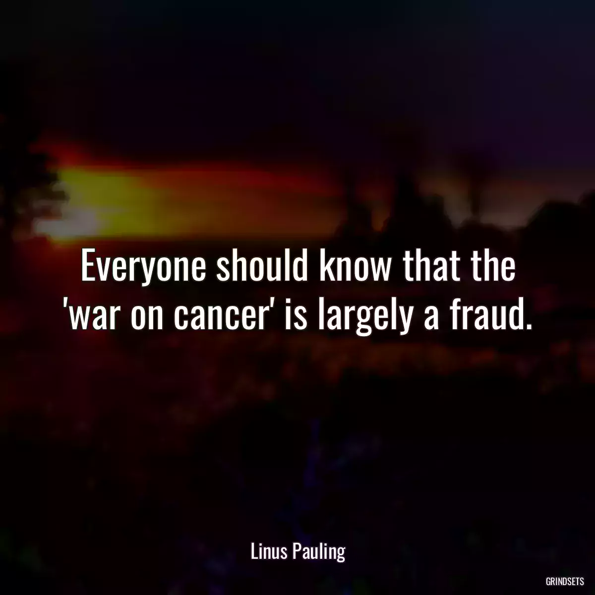 Everyone should know that the \'war on cancer\' is largely a fraud.