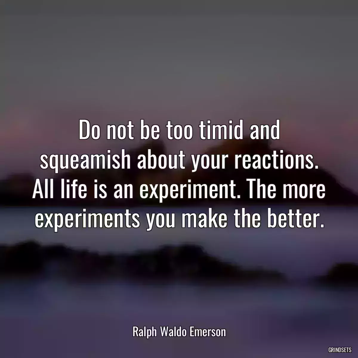 Do not be too timid and squeamish about your reactions. All life is an experiment. The more experiments you make the better.