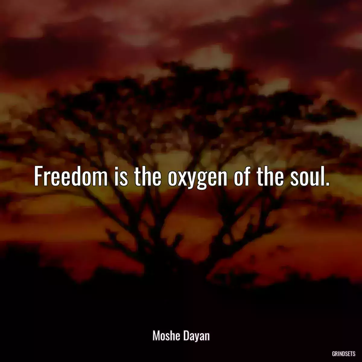 Freedom is the oxygen of the soul.