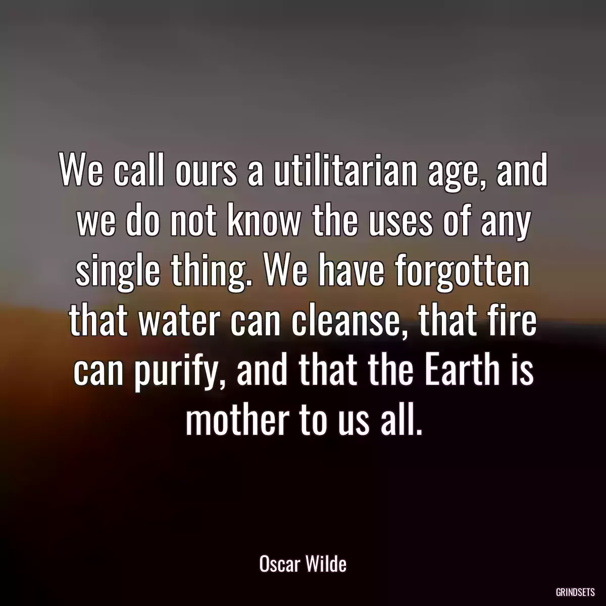 We call ours a utilitarian age, and we do not know the uses of any single thing. We have forgotten that water can cleanse, that fire can purify, and that the Earth is mother to us all.