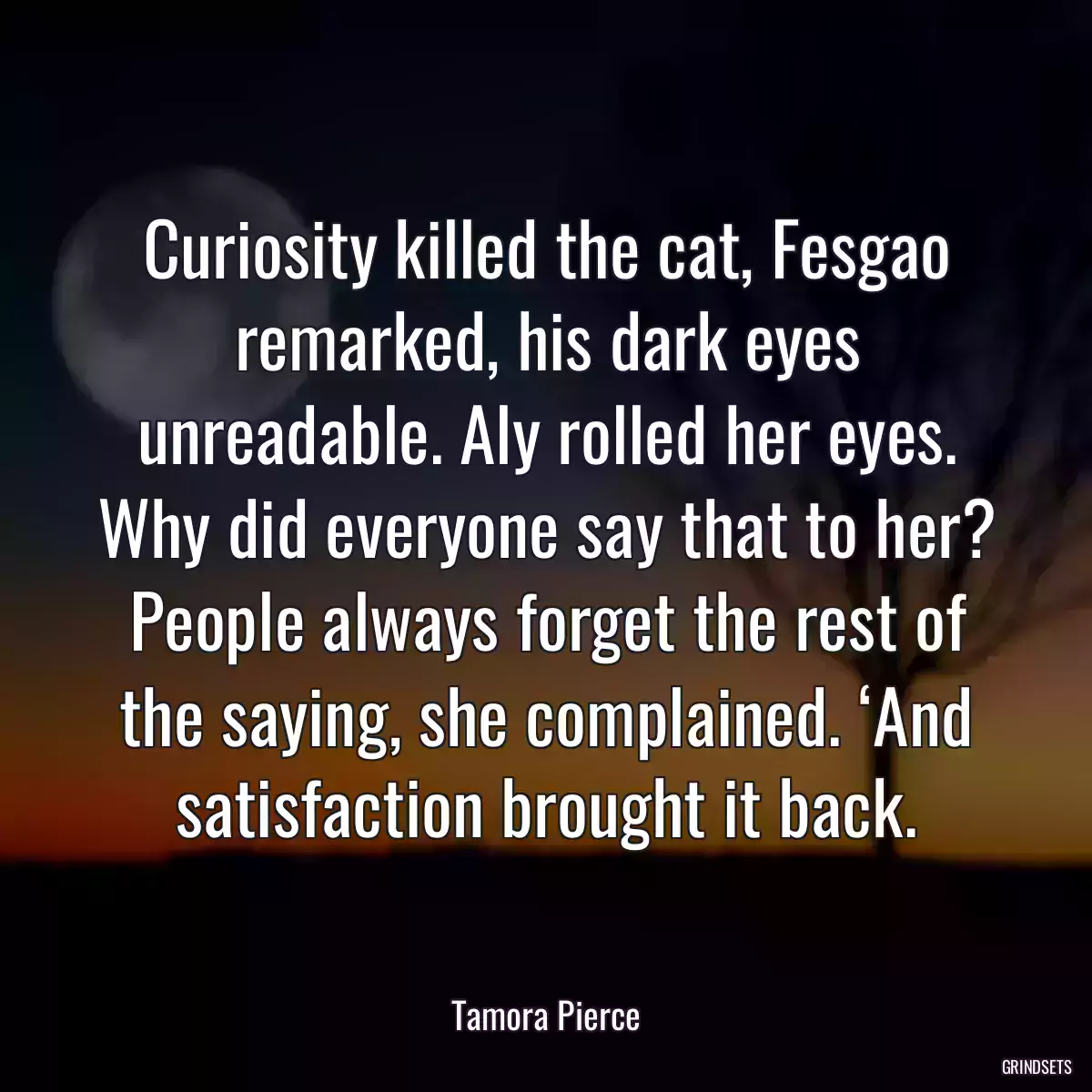 Curiosity killed the cat, Fesgao remarked, his dark eyes unreadable. Aly rolled her eyes. Why did everyone say that to her? People always forget the rest of the saying, she complained. ‘And satisfaction brought it back.