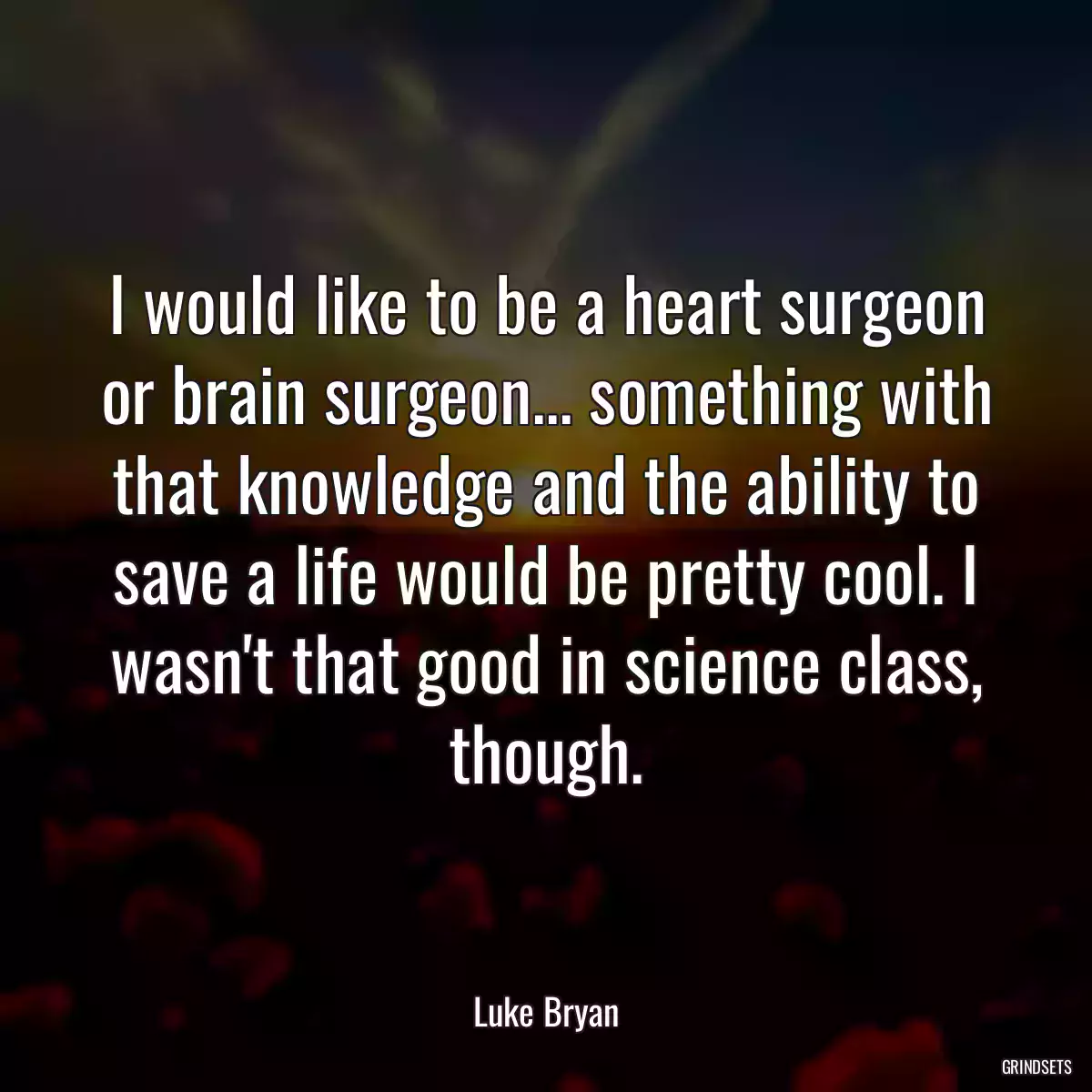 I would like to be a heart surgeon or brain surgeon... something with that knowledge and the ability to save a life would be pretty cool. I wasn\'t that good in science class, though.