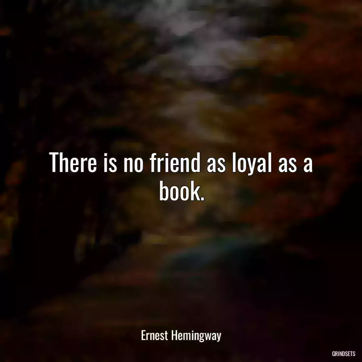 There is no friend as loyal as a book.