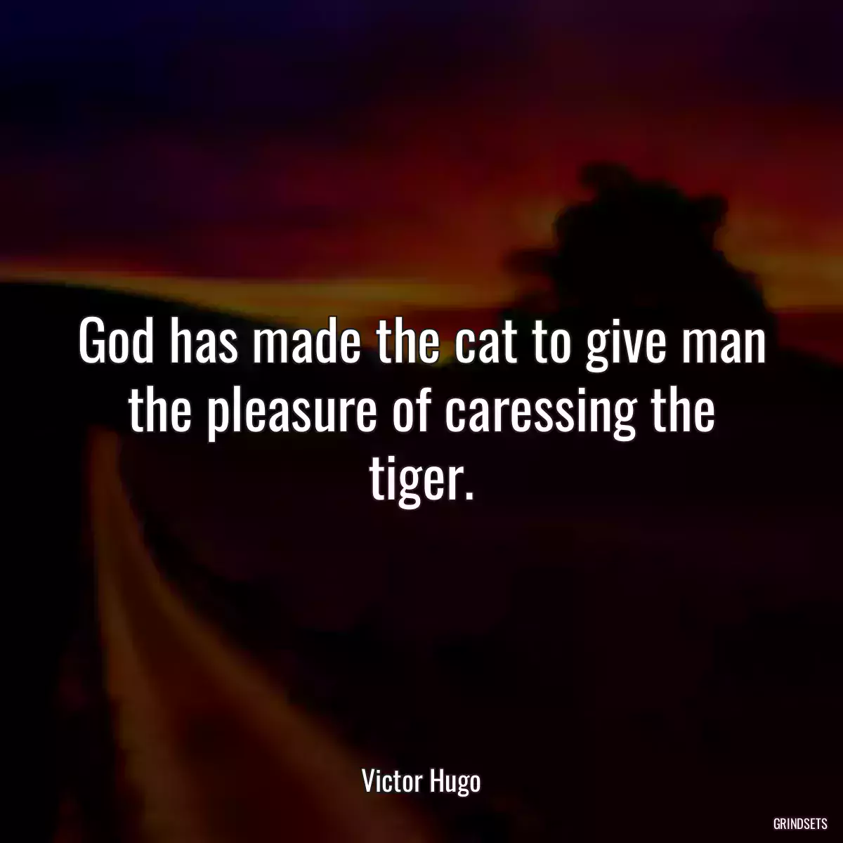 God has made the cat to give man the pleasure of caressing the tiger.