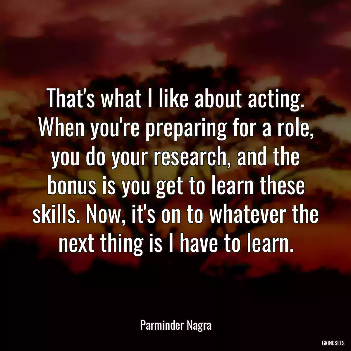 That\'s what I like about acting. When you\'re preparing for a role, you do your research, and the bonus is you get to learn these skills. Now, it\'s on to whatever the next thing is I have to learn.