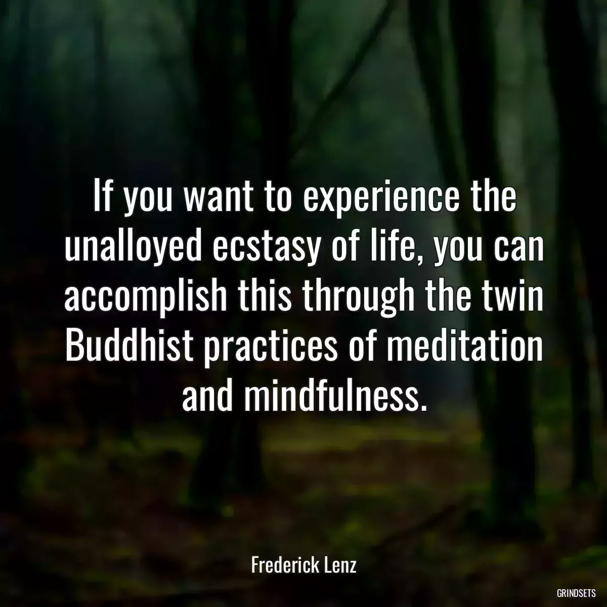 If you want to experience the unalloyed ecstasy of life, you can accomplish this through the twin Buddhist practices of meditation and mindfulness.