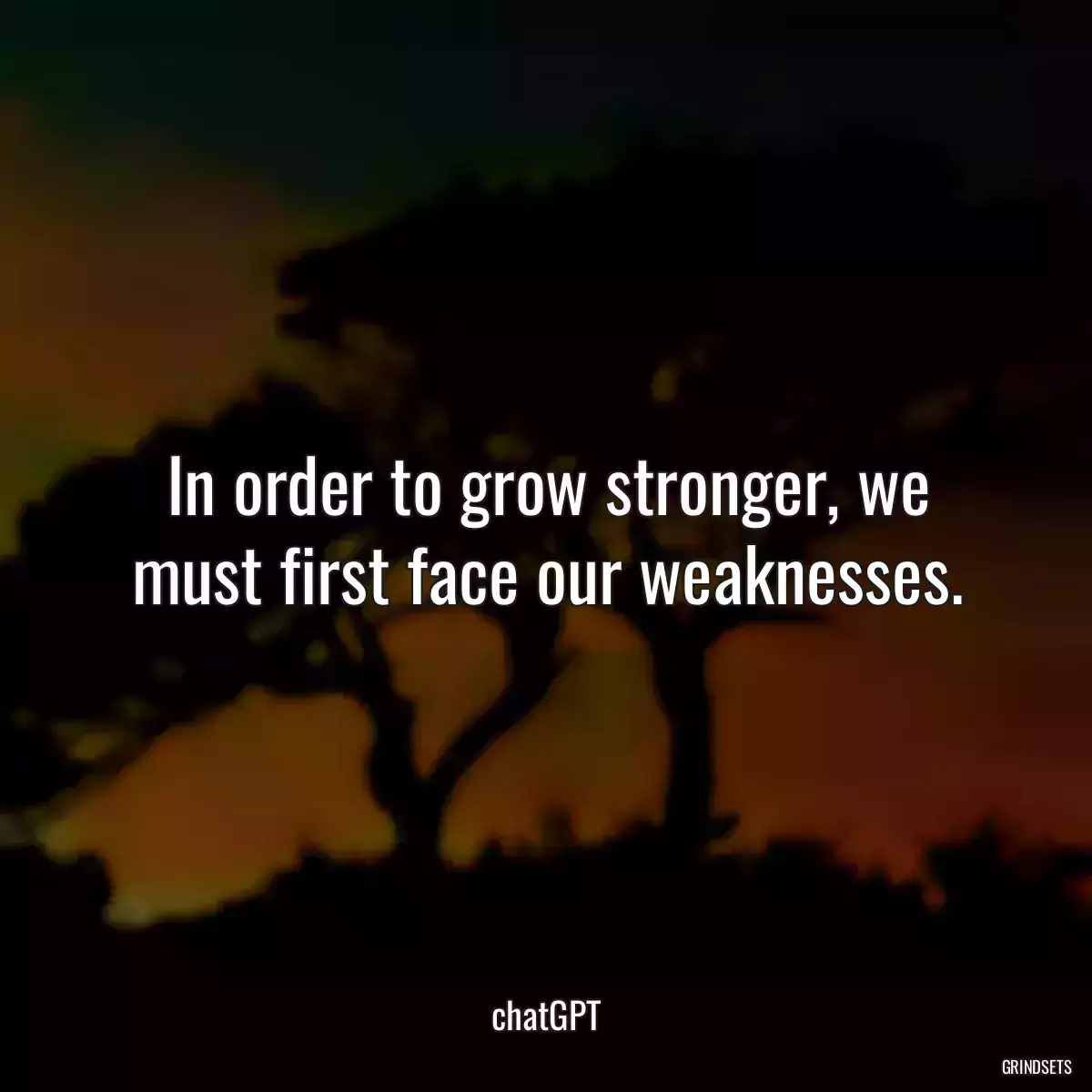 In order to grow stronger, we must first face our weaknesses.