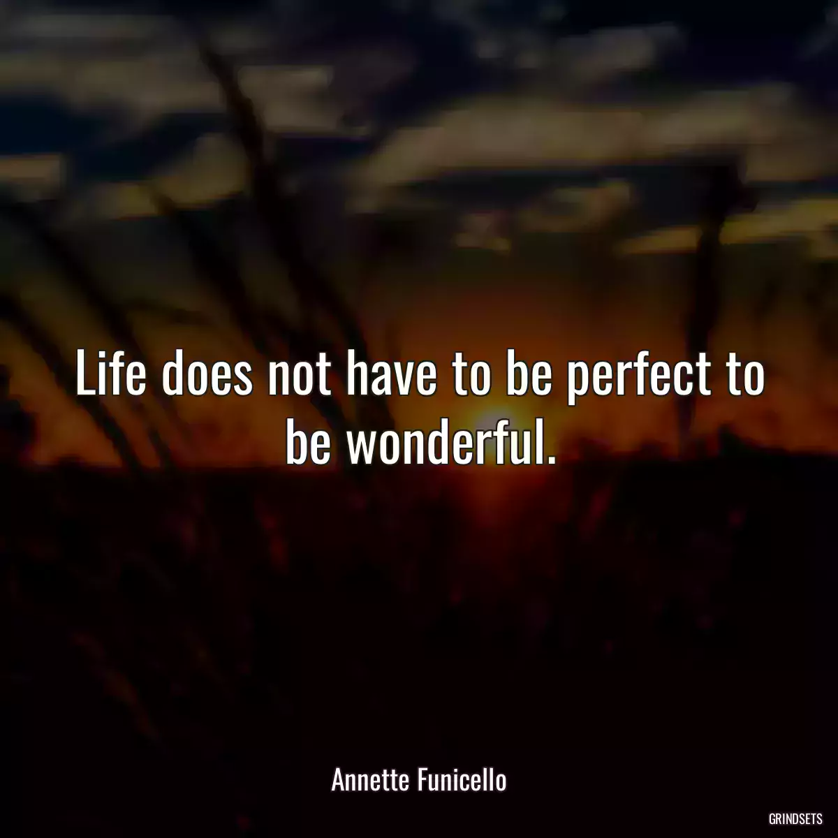 Life does not have to be perfect to be wonderful.