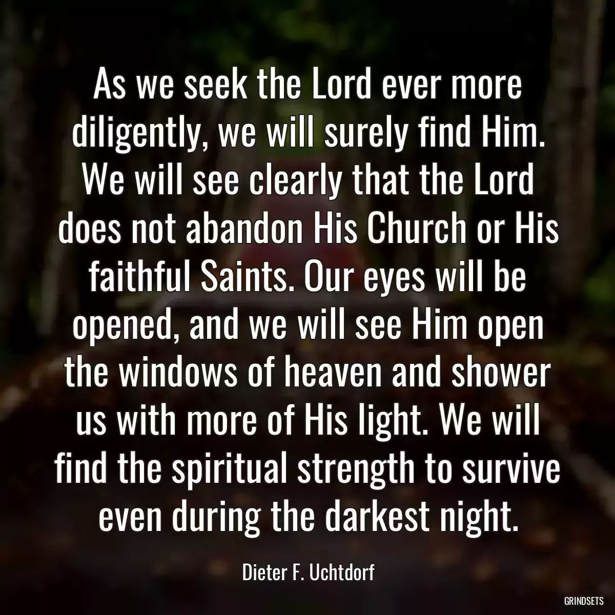 As we seek the Lord ever more diligently, we will surely find Him. We will see clearly that the Lord does not abandon His Church or His faithful Saints. Our eyes will be opened, and we will see Him open the windows of heaven and shower us with more of His light. We will find the spiritual strength to survive even during the darkest night.