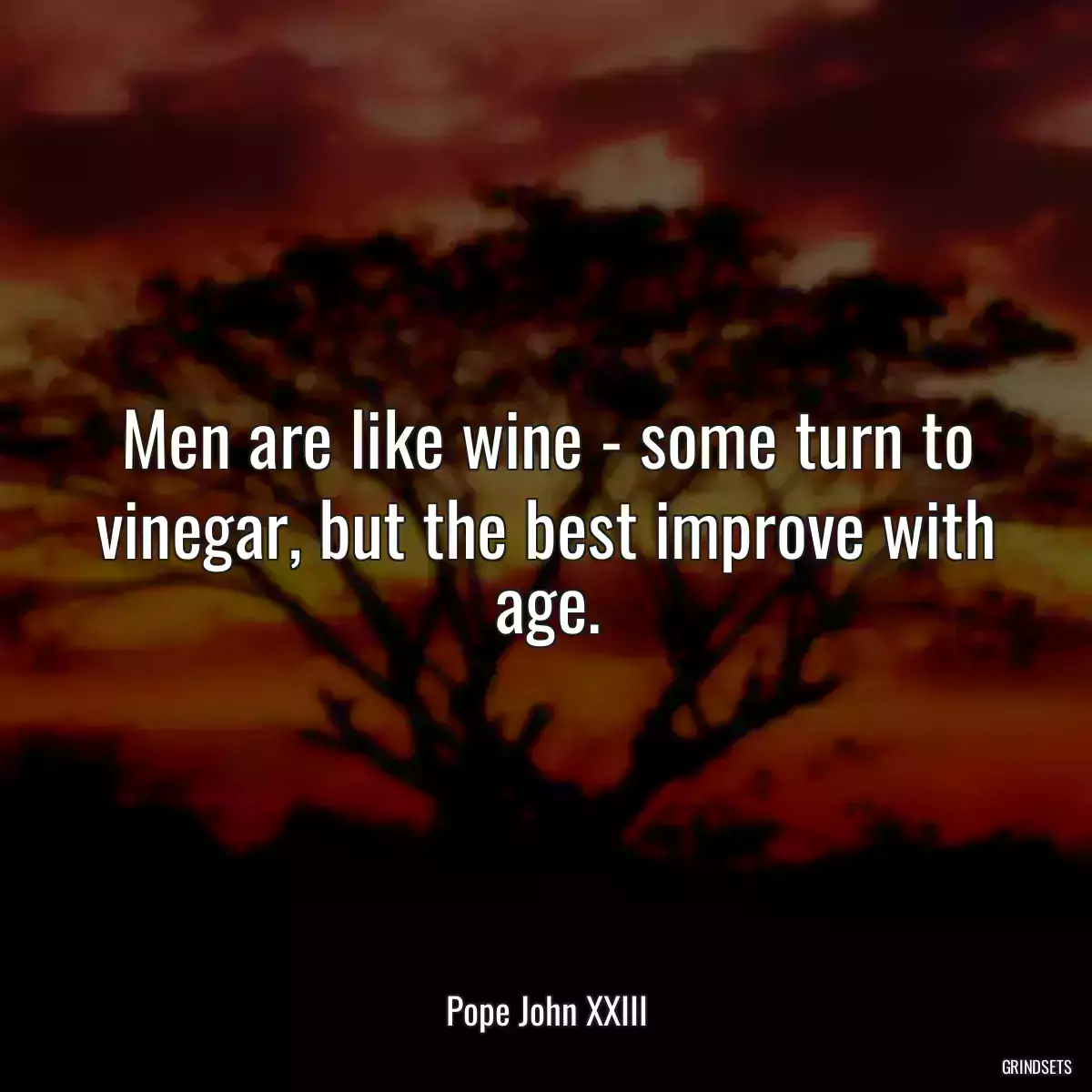 Men are like wine - some turn to vinegar, but the best improve with age.