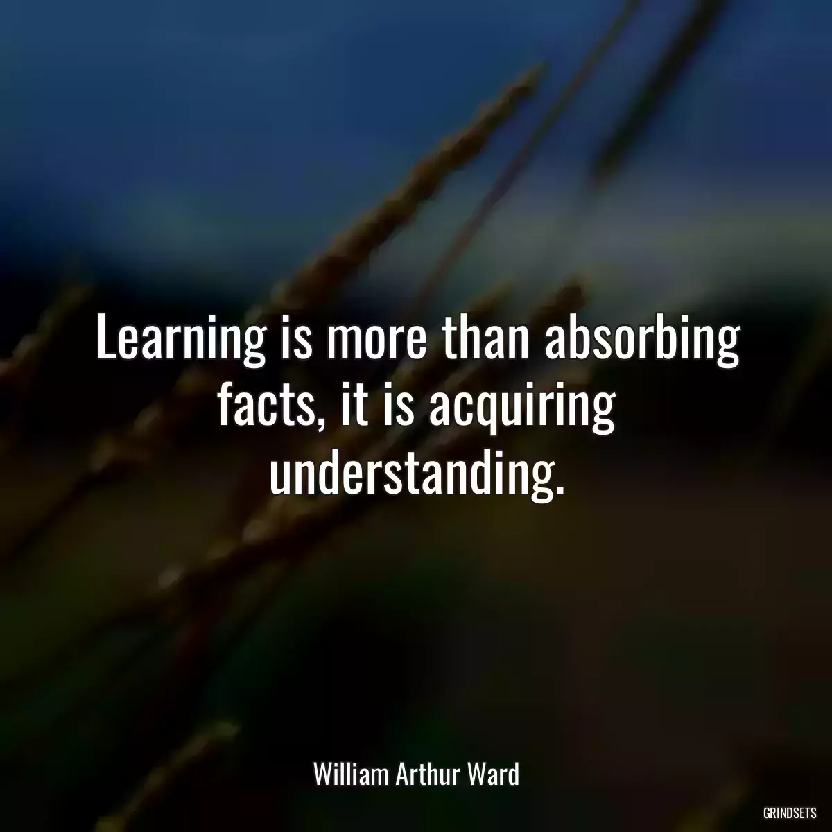 Learning is more than absorbing facts, it is acquiring understanding.