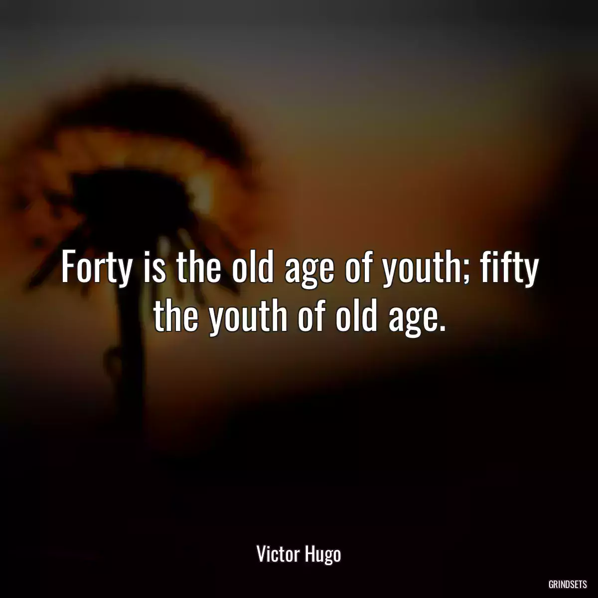 Forty is the old age of youth; fifty the youth of old age.