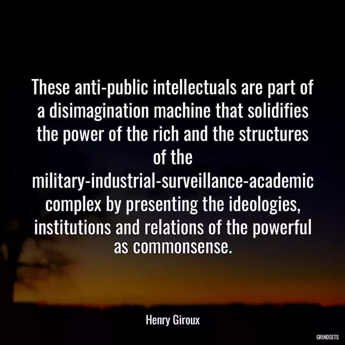 These anti-public intellectuals are part of a disimagination machine that solidifies the power of the rich and the structures of the military-industrial-surveillance-academic complex by presenting the ideologies, institutions and relations of the powerful as commonsense.