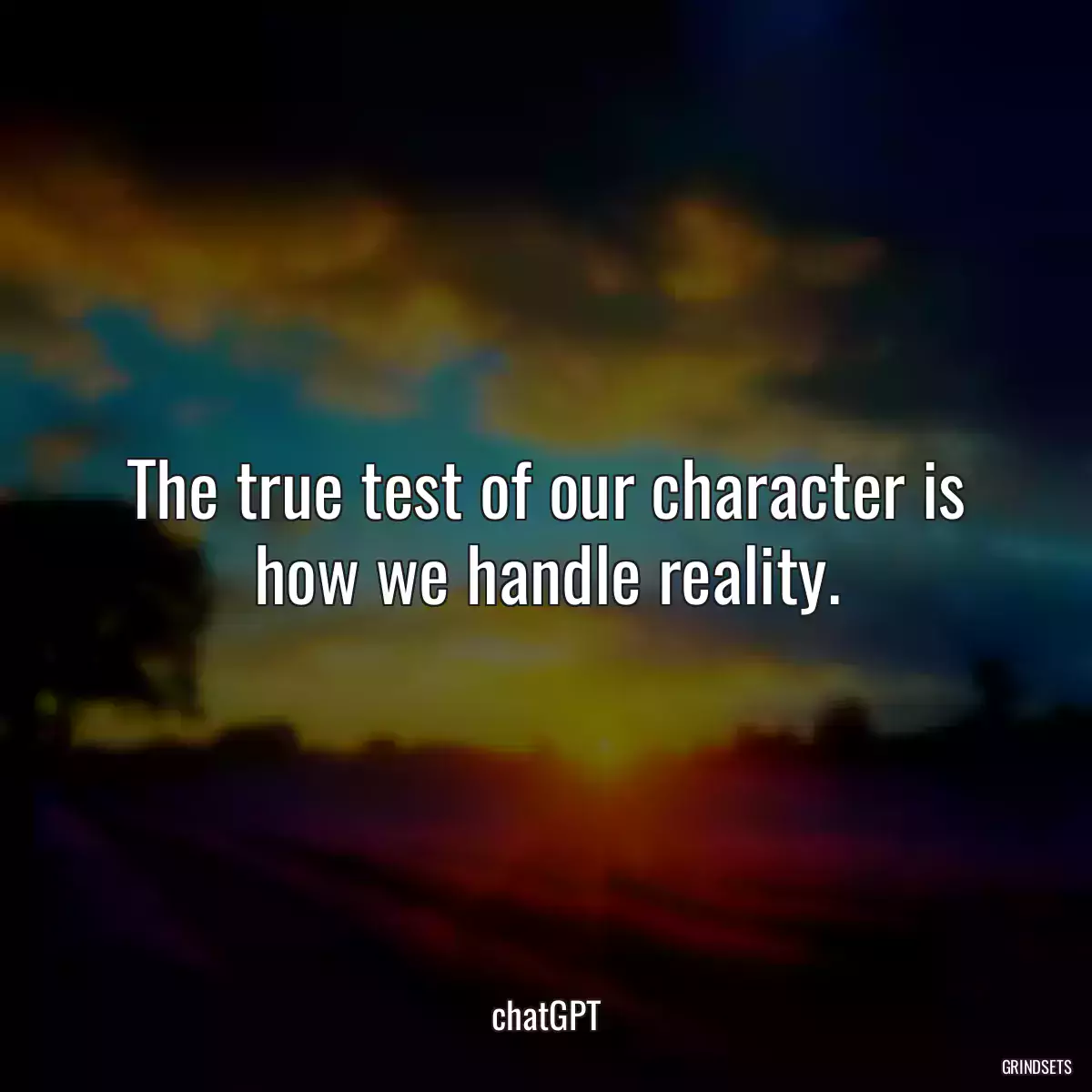 The true test of our character is how we handle reality.