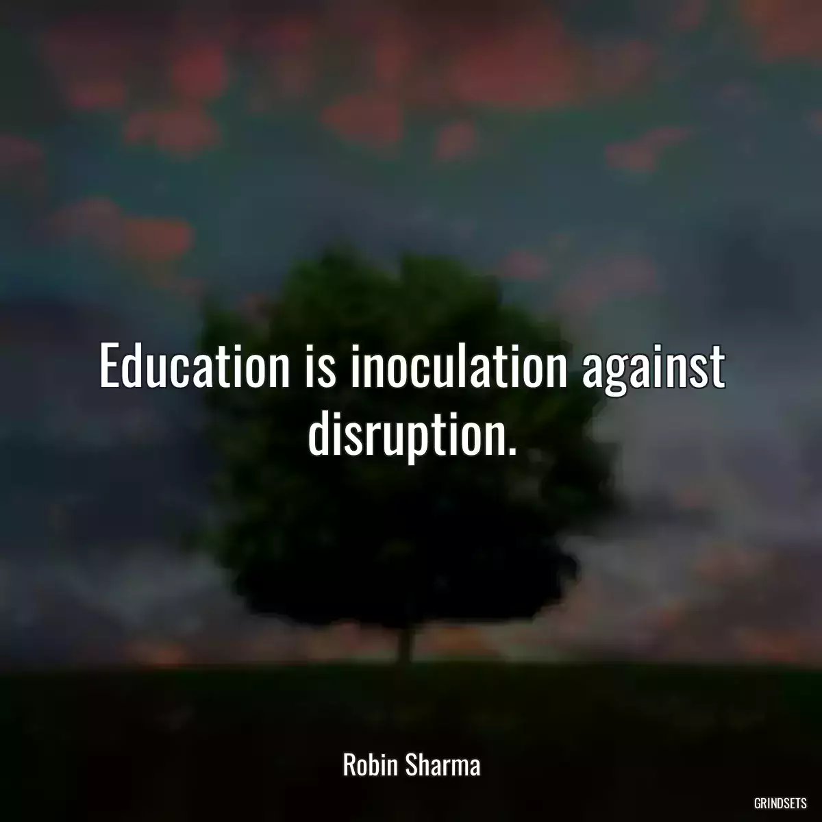 Education is inoculation against disruption.