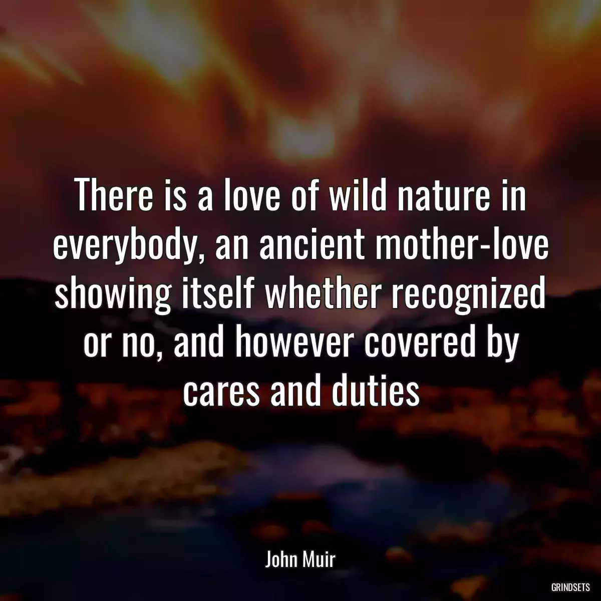 There is a love of wild nature in everybody, an ancient mother-love showing itself whether recognized or no, and however covered by cares and duties