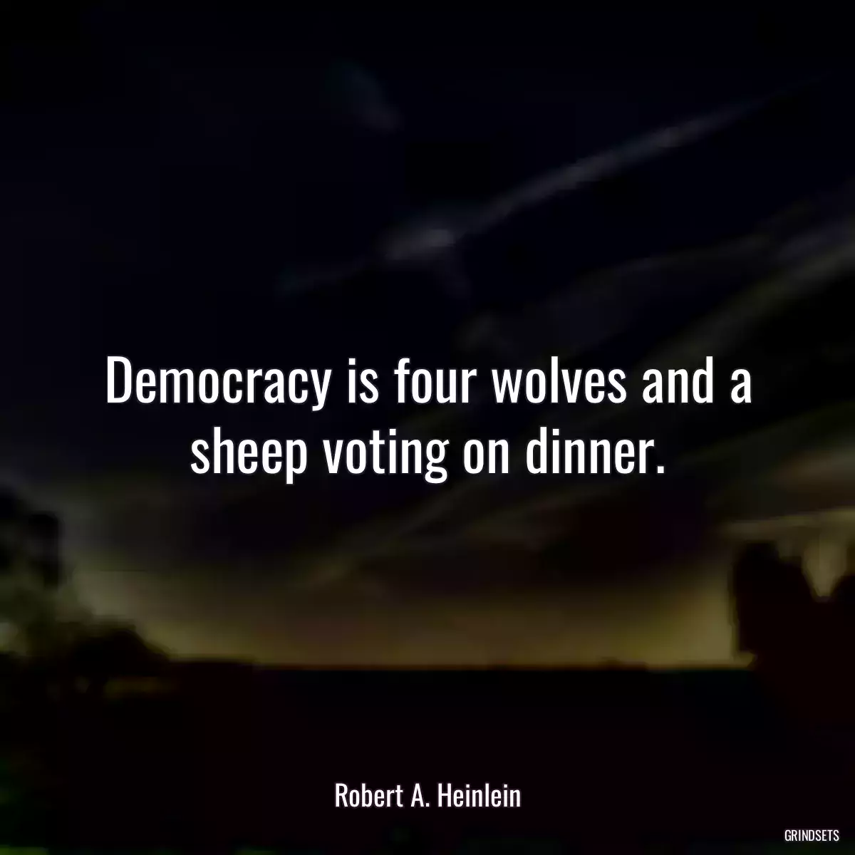 Democracy is four wolves and a sheep voting on dinner.