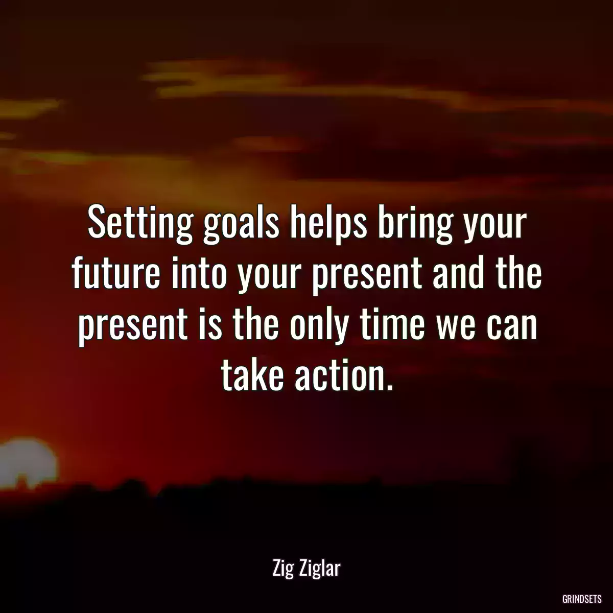 Setting goals helps bring your future into your present and the present is the only time we can take action.