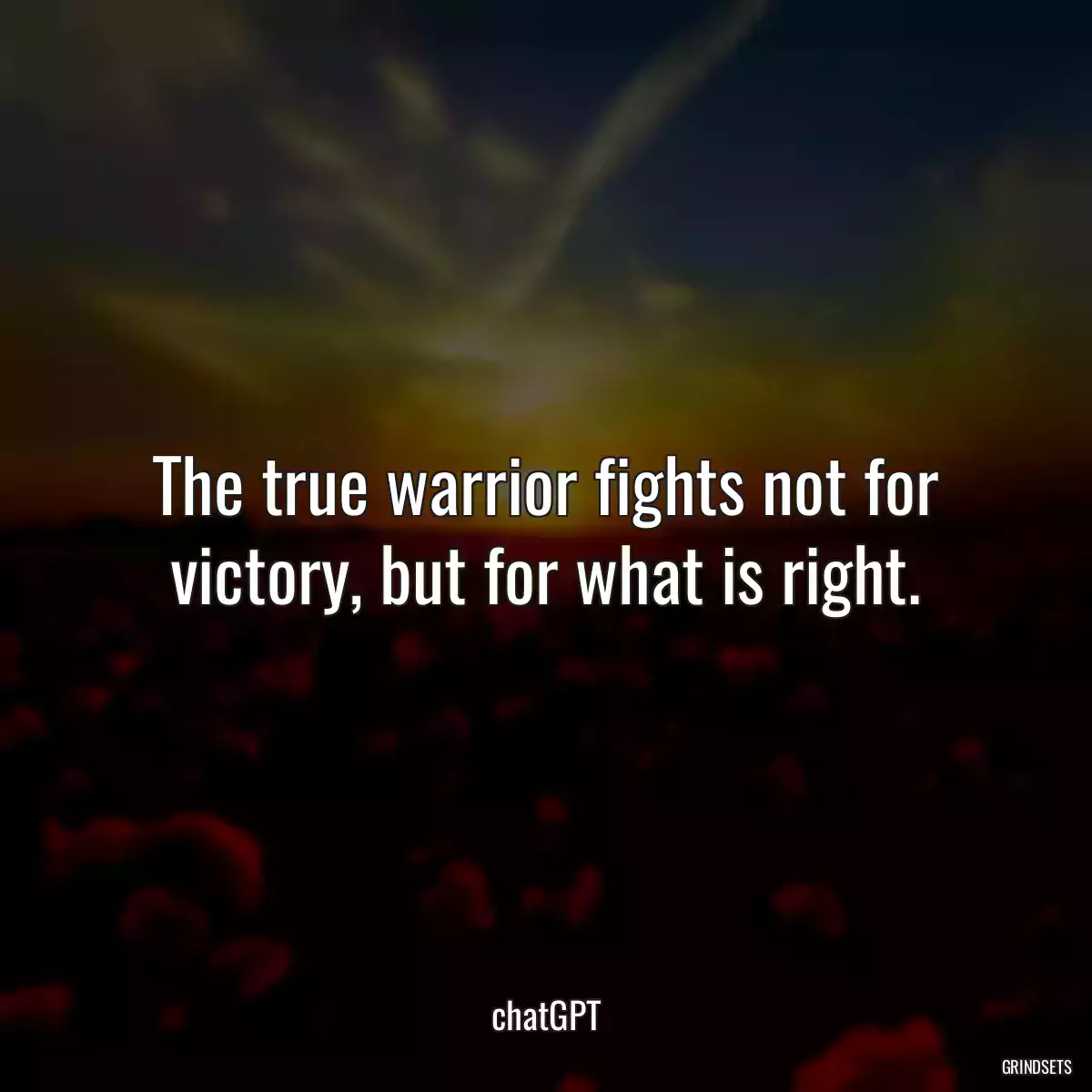 The true warrior fights not for victory, but for what is right.