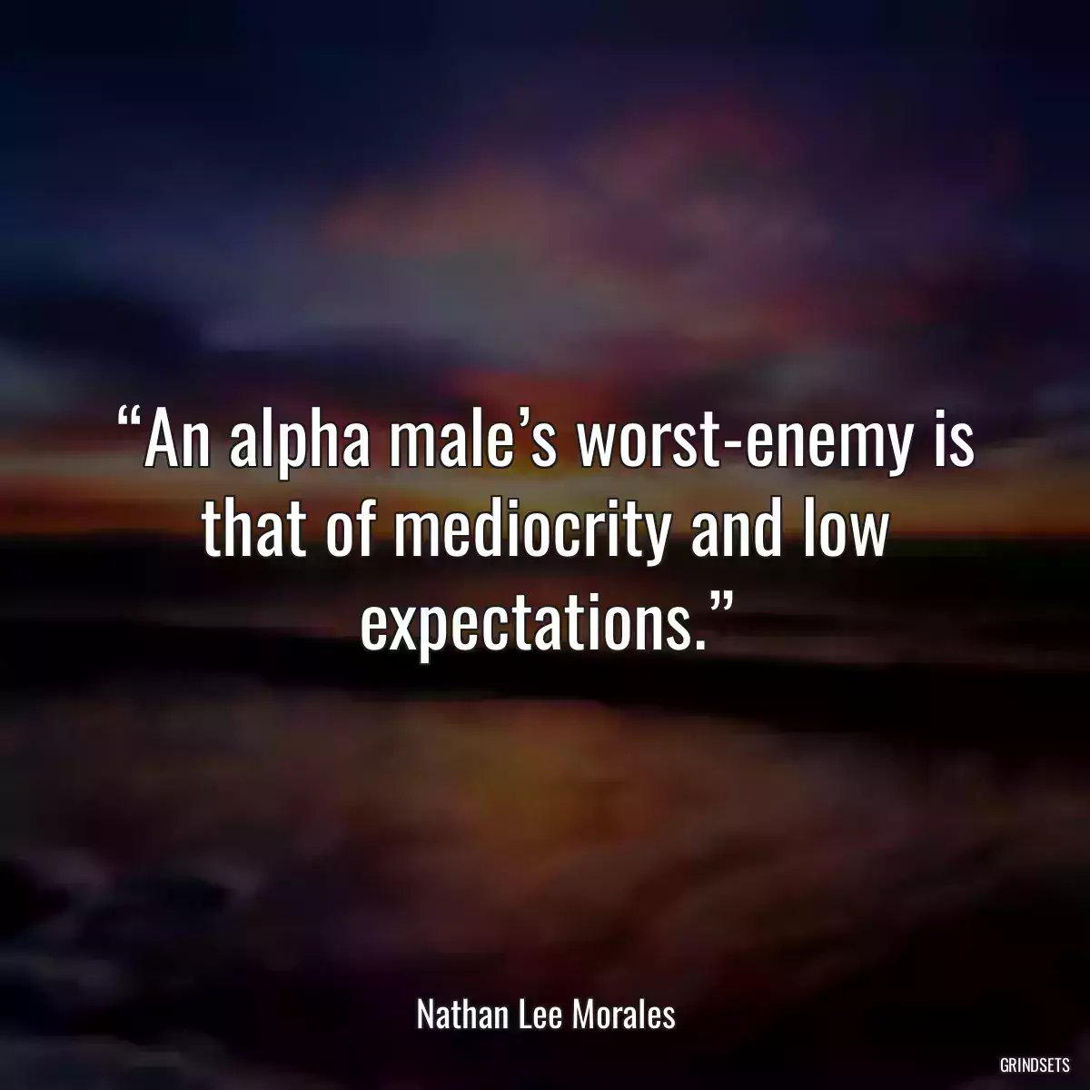 “An alpha male’s worst-enemy is that of mediocrity and low expectations.”