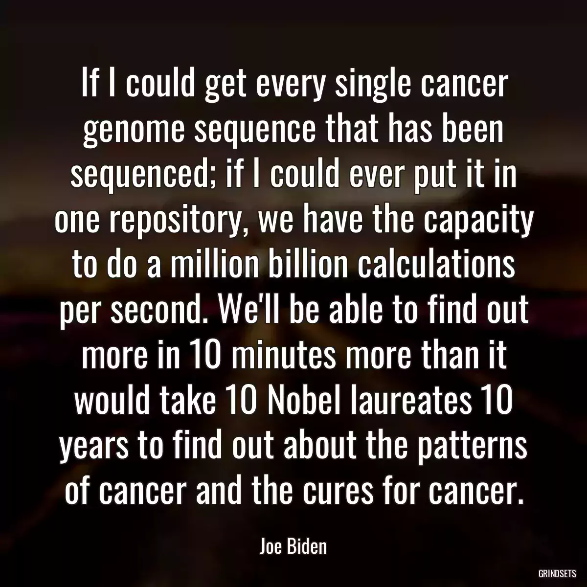 If I could get every single cancer genome sequence that has been sequenced; if I could ever put it in one repository, we have the capacity to do a million billion calculations per second. We\'ll be able to find out more in 10 minutes more than it would take 10 Nobel laureates 10 years to find out about the patterns of cancer and the cures for cancer.