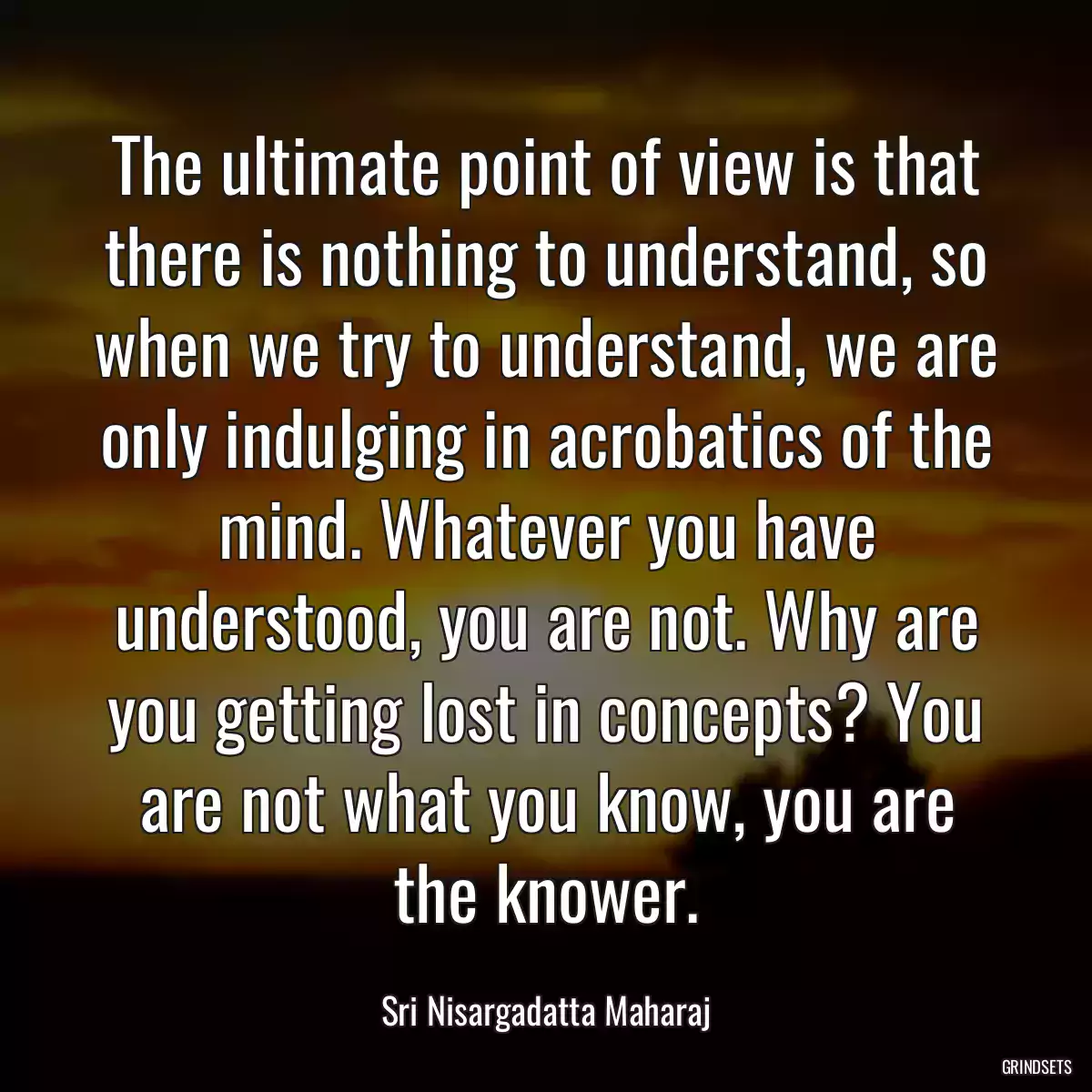 The ultimate point of view is that there is nothing to understand, so when we try to understand, we are only indulging in acrobatics of the mind. Whatever you have understood, you are not. Why are you getting lost in concepts? You are not what you know, you are the knower.