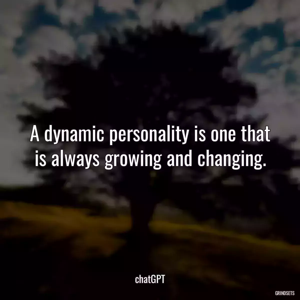 A dynamic personality is one that is always growing and changing.