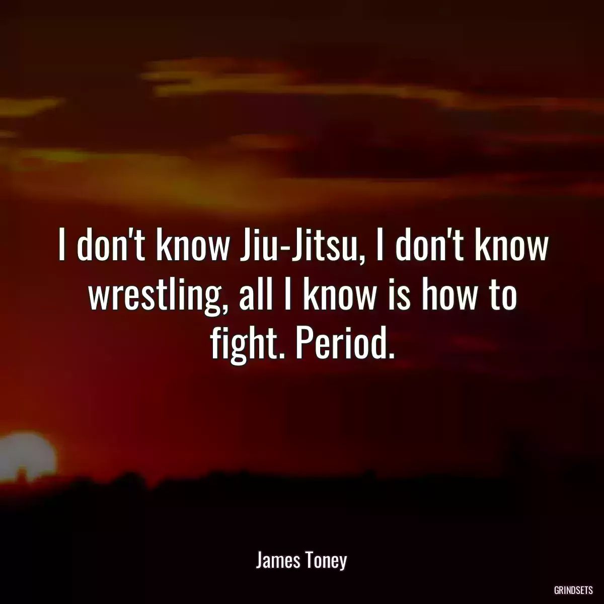 I don\'t know Jiu-Jitsu, I don\'t know wrestling, all I know is how to fight. Period.