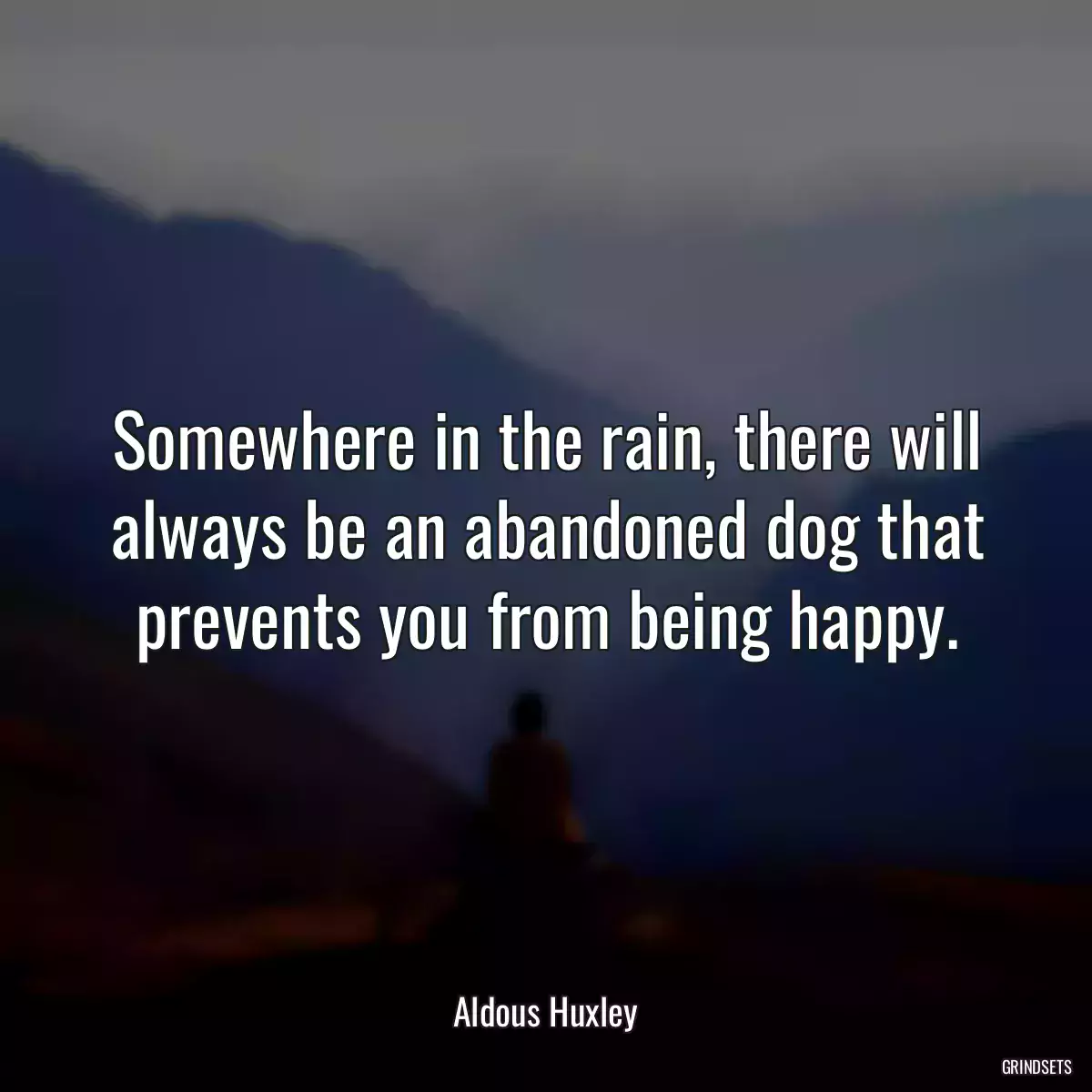 Somewhere in the rain, there will always be an abandoned dog that prevents you from being happy.