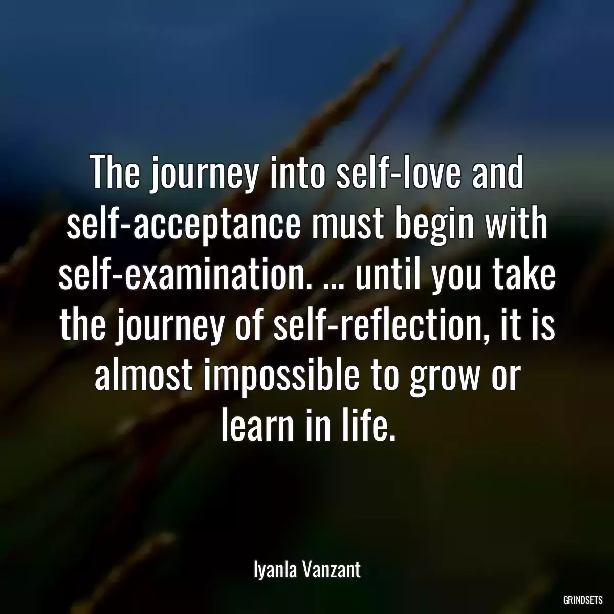 The journey into self-love and self-acceptance must begin with self-examination. ... until you take the journey of self-reflection, it is almost impossible to grow or learn in life.