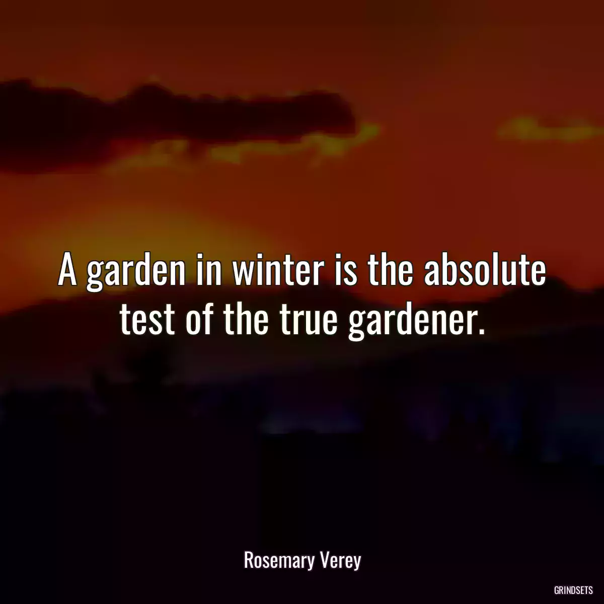 A garden in winter is the absolute test of the true gardener.